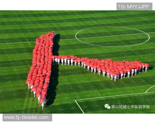 景菡一的成长之路与梦想追寻：在风雨中绽放的青春故事