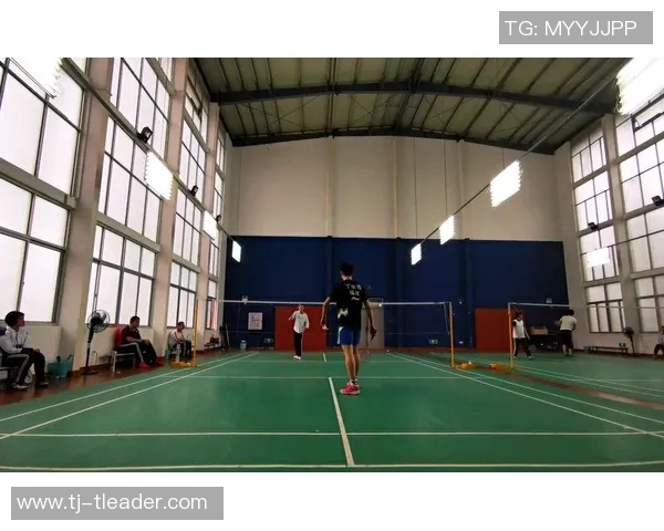 杭州羽毛球队意识对比深度剖析与战术演变的独特视角