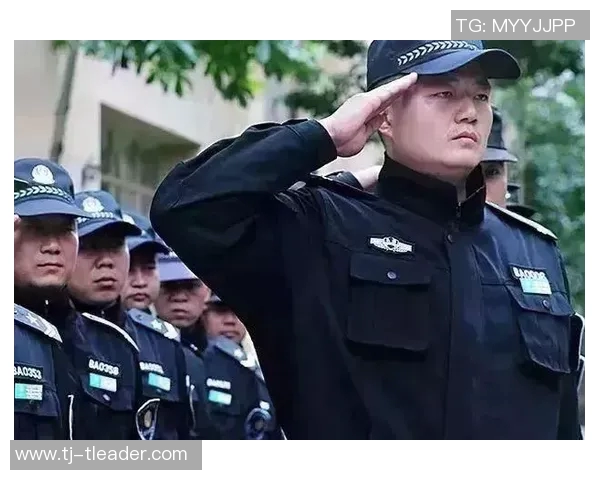 上海足球队的崛起之路:一段不平凡的奋斗与荣耀的纪实故事